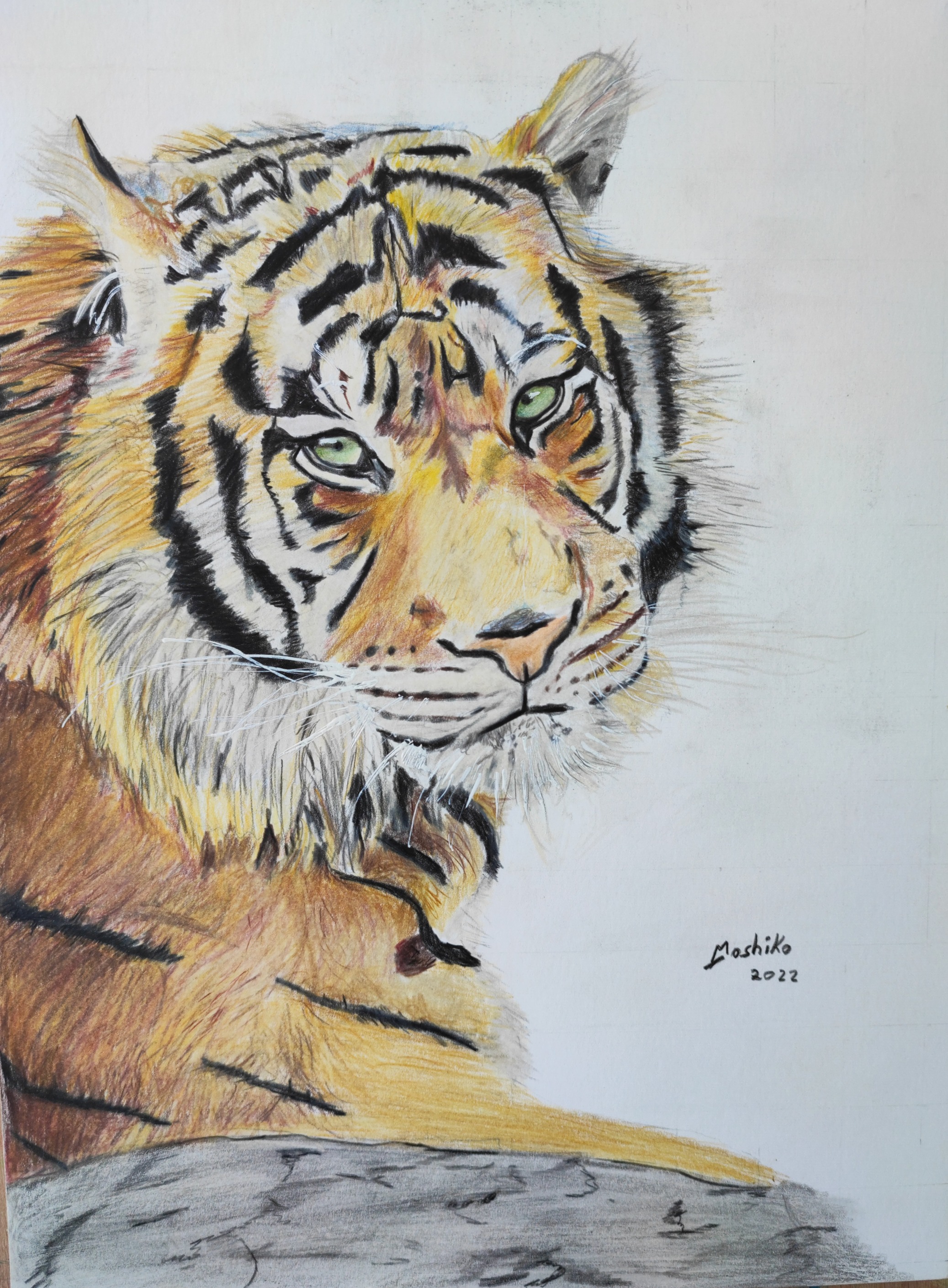 Wild Stripes